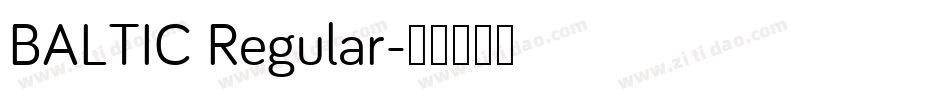 BALTIC Regular字体转换